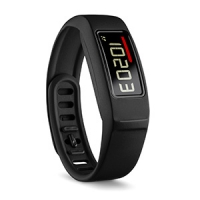 Garmin vivofit 2 (фитнес-браслет)